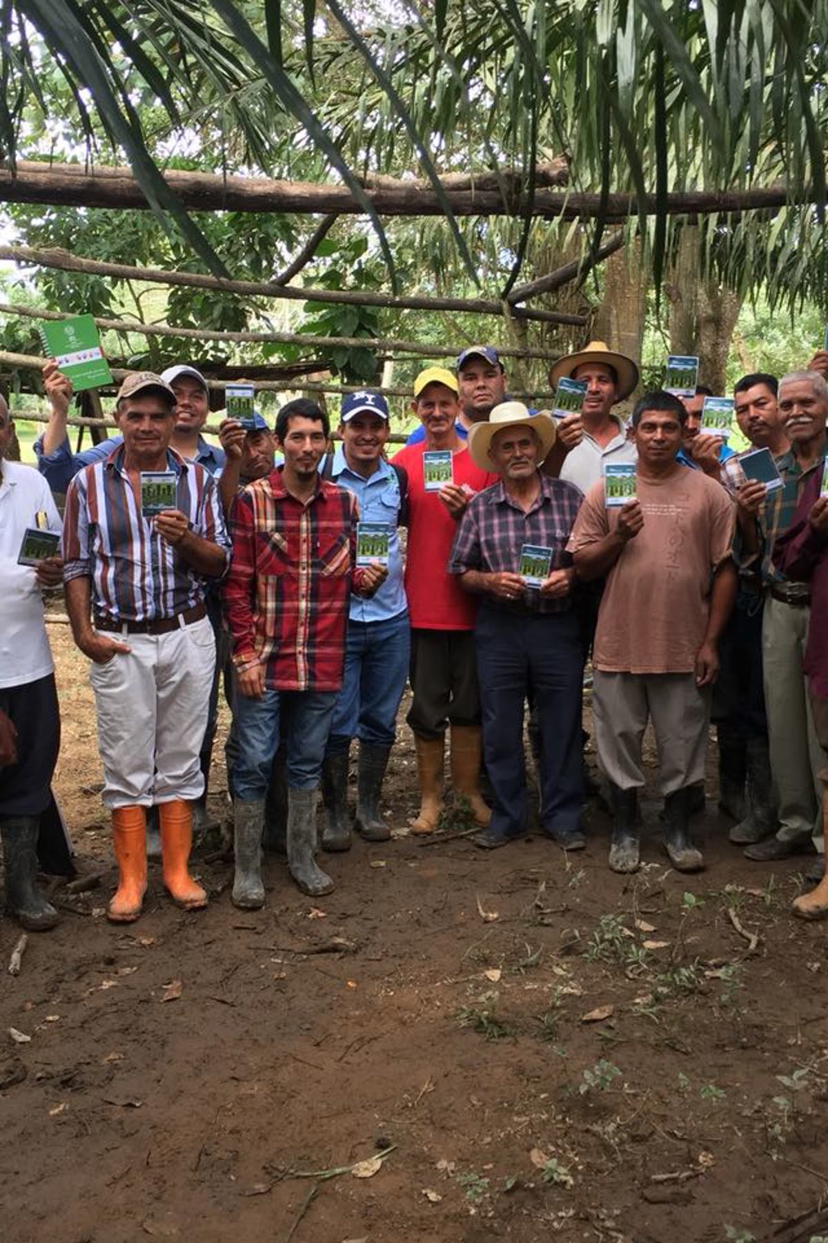 Local Farmers
