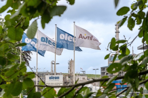 Four Oleon flags waving
