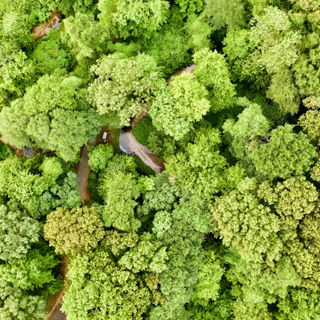 Protect natural resources and biodiversity 