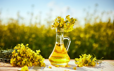 Rapeseed Oil - the perfect all-rounder for  your plant-based food processing requirements